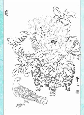 工笔画白描底稿花鸟适合初学者