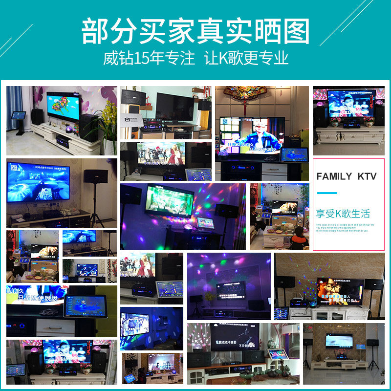 威钻9880家庭ktv套装全套10寸音响 威钻KTV/卡拉OK音箱
