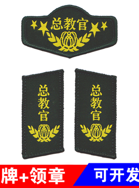 教官标志军训服装胸牌领章