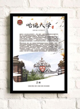 美国常春藤名校简介海报哈弗耶鲁