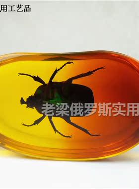 Z1昆虫琥珀汽车家居挂件饰弯钩绿宝石高贵靓丽鹅卵石形红黄色