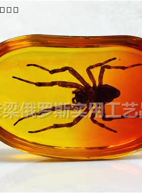 Z4昆虫水晶琥珀汽车家居挂件大蜘蛛无鹅卵石形红黄色