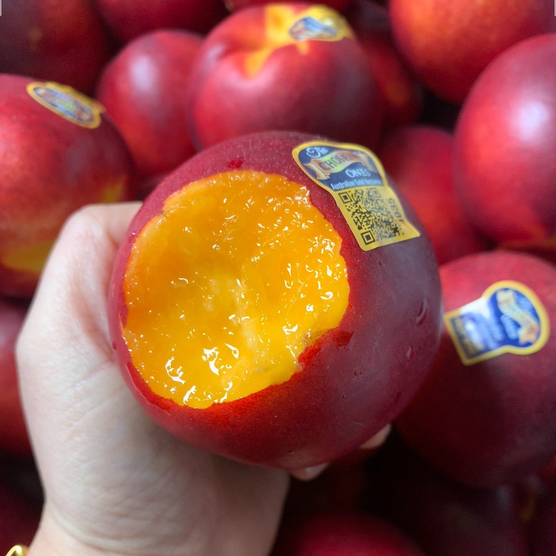 现货进口金腰带黄肉油桃5斤桃子新鲜水果当季脆甜黄心水密桃整箱,淘宝优惠券,粉丝福利购,淘宝优惠卷