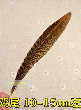 DIY配件野鸡毛/锦鸡毛/锦鸡单支尾/羽毛手工饰品配件 10-15CM