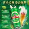 Tsingtao Beer Classic Beer 550ml*18 cans full box beer large capacity green can with mellow wheat aroma