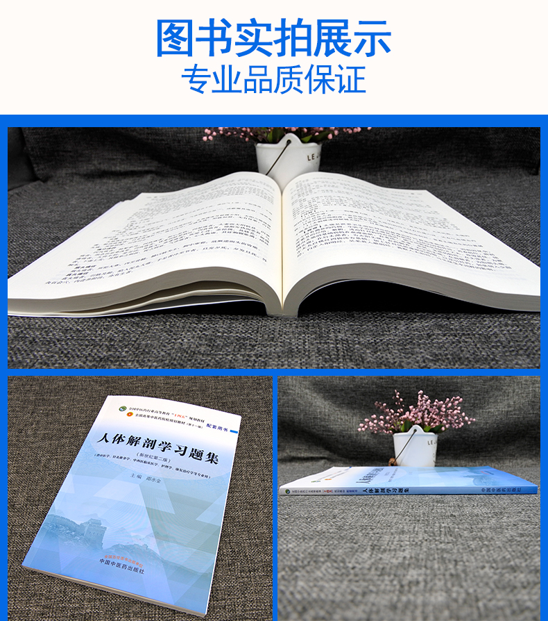 人体解剖学习题集-全国中医行业高等教育十四五规划教材（第十一版）配套用书 邵水金 中国中医药出版社 9787513278249