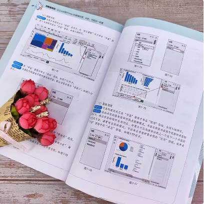 用数据说话 从Excel到Power BI数据处理 分析 可视化一本通 Excel+Power BI联合 轻松搞定数据分析 Excel及PowerBI入门参考书籍
