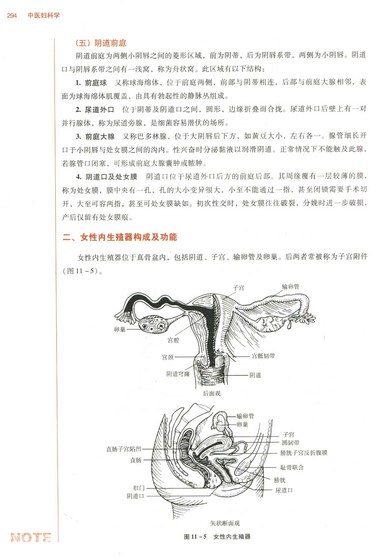 中医妇科学 教材 第十版 谈勇 编 全国高等中医院校十三五规划教材供中医学针灸推拿学中西医临床医学等专业用中国中医药出版社