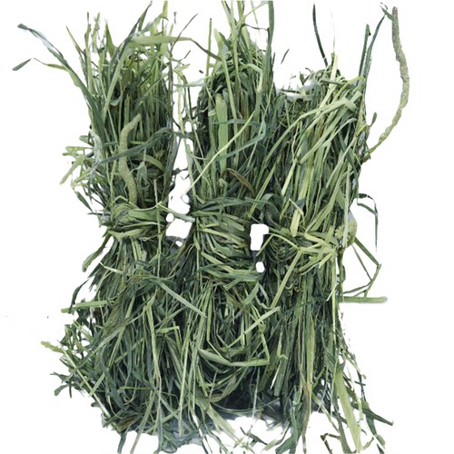 26年新晾晒提摩西草荷兰猪干草饲料龙猫豚鼠兔粮牧草兔子草包邮 - 图3