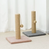 Меч Maisa Cat Trablare без перхоть котенок коткол кошка планета Cat Catal Clawers Kitter Cat