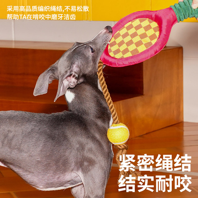 Dog toy tennis rackets with grinding teeth and cleaning