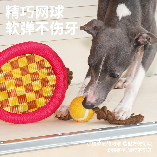 Dog toy tennis rackets with grinding teeth and cleaning