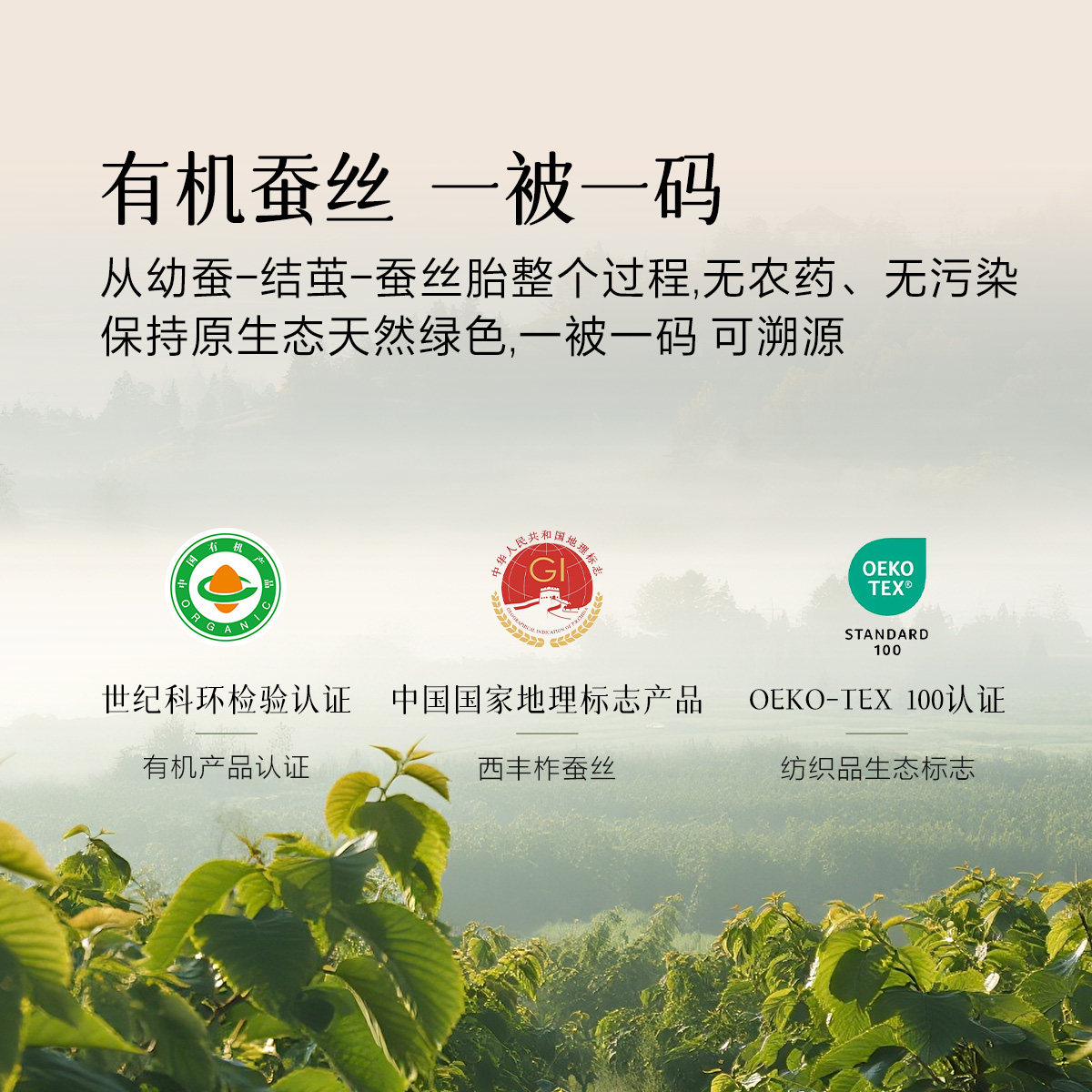 百丽丝家纺蚕丝被子冬被柞蚕丝子母被蚕丝被100桑蚕丝官方旗舰店,淘宝优惠券,粉丝福利购,淘宝优惠卷