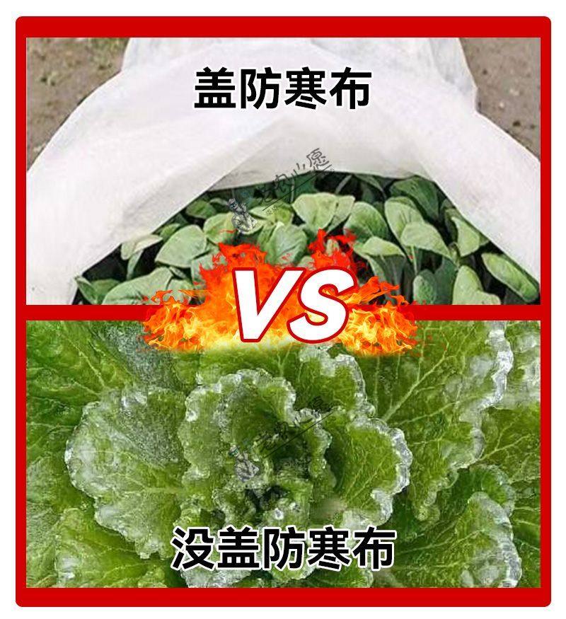 农用蔬菜防寒布萝卜白菜保温大蒜窝笋茶叶防霜冻保暧透气防寒布,淘宝优惠券,粉丝福利购,淘宝优惠卷