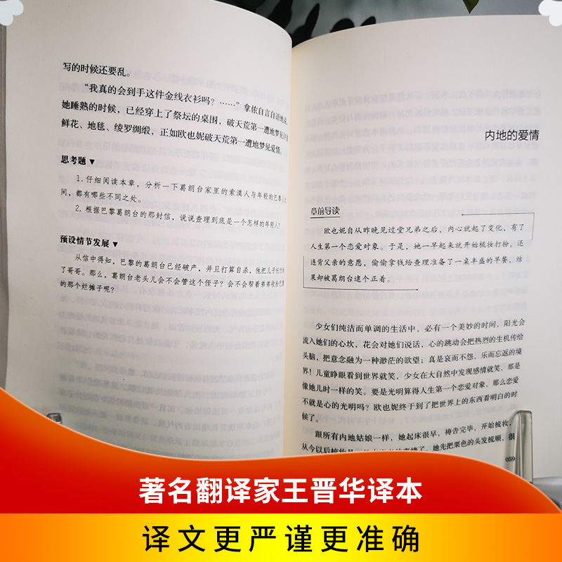 麦琪的礼物：欧.亨利短篇小说集 名家名译世界文学名著 世界名著读物 经典畅销文学小说书籍 外国文学原版小说初中生课外书名著