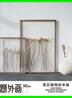 植物干花标本透明北欧压花永生花