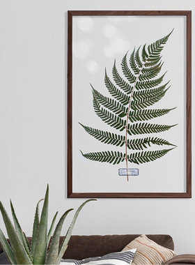 植物标本装饰画树叶摆件画框手工