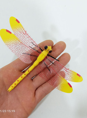 仿真塑料假蜻蜓模型3D昆虫标本道具立体幼儿早教儿童玩具园艺装饰