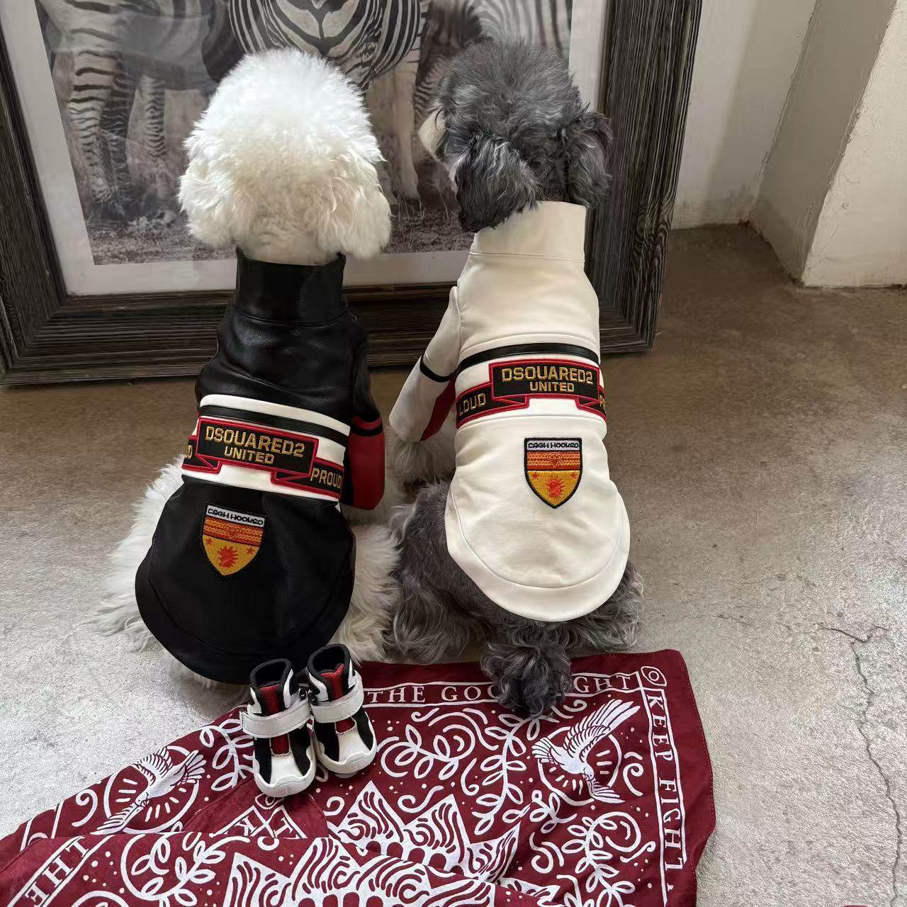 狗狗衣服秋冬保暖雪纳瑞比熊泰迪柴犬西高地宠物外套赛车服,淘宝优惠券,粉丝福利购,淘宝优惠卷