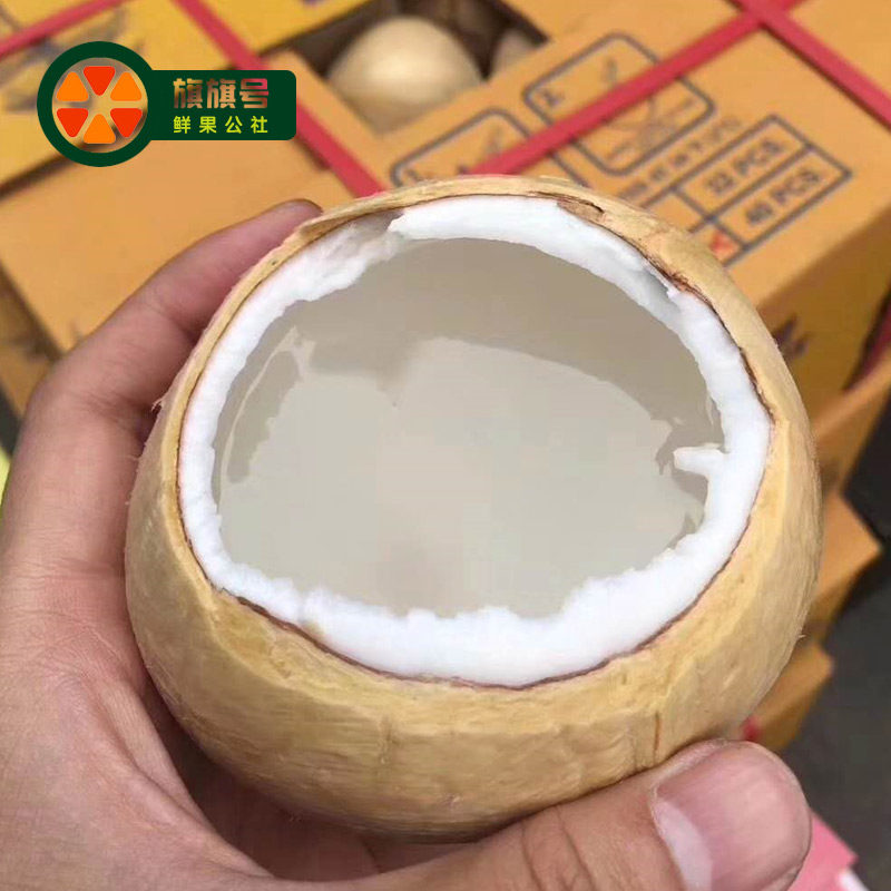 新鲜椰皇6个装无拉环香水椰王新鲜奶香老椰妃新鲜椰汁果顺丰包邮