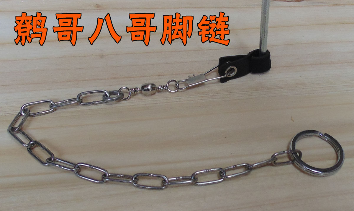 鹩哥脚链,八哥皮脚环,喜鹊,红嘴蓝鹊,丝光,画眉宠物鸟皮脚套脚链.,淘宝优惠券,粉丝福利购,淘宝优惠卷