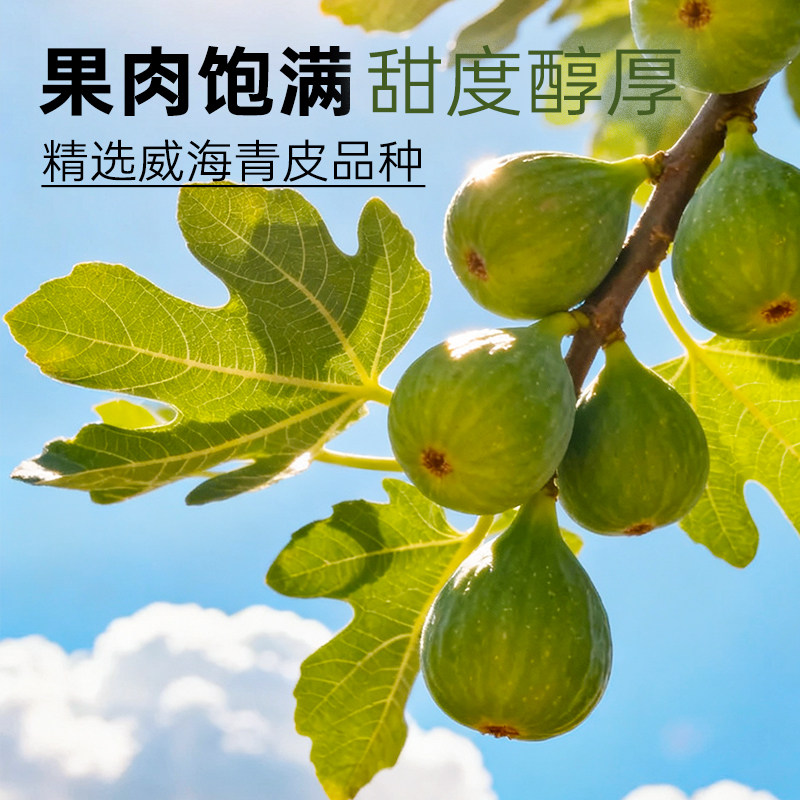 展艺冻干无花果干雪花酥用蛋糕装饰水果蔬脆干粒草莓烘焙专用原料,淘宝优惠券,粉丝福利购,淘宝优惠卷