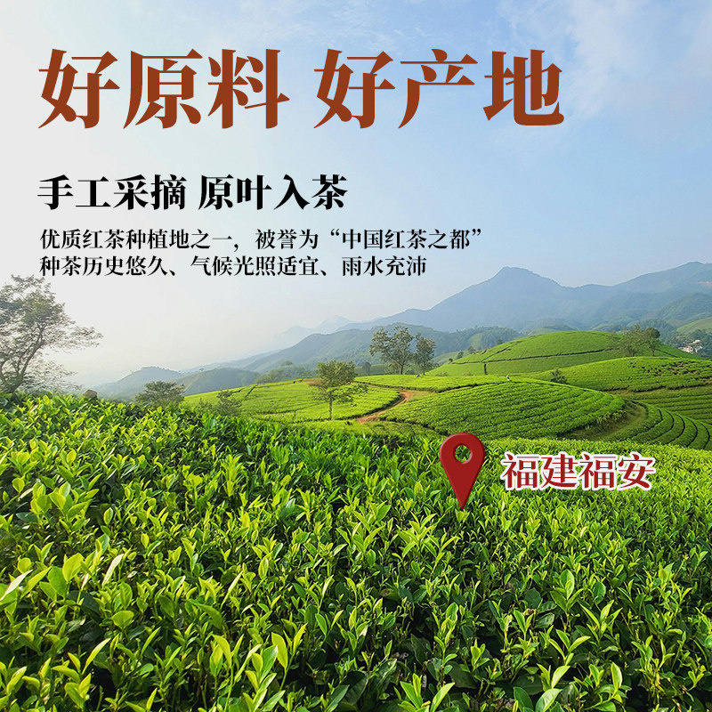 展艺伯爵红茶粉烘焙专用龙井茶粉蛋糕瑞士卷港式奶茶冲饮原材料,淘宝优惠券,粉丝福利购,淘宝优惠卷