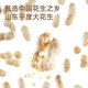 Zhanyi Peanut Crushed Nougat Snowflake Crispy Special for Baking