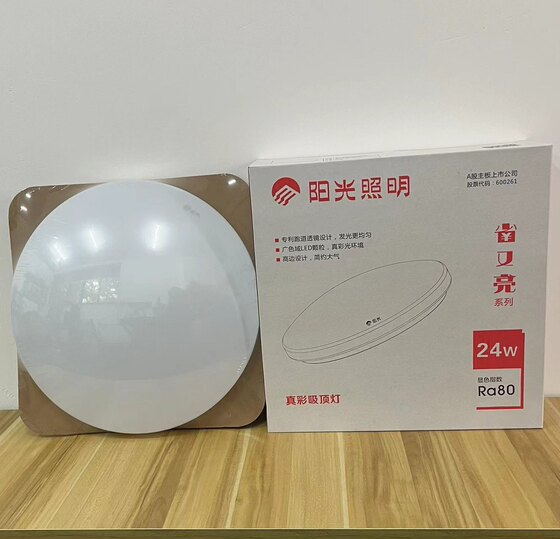 Sunshine round modern simple LED