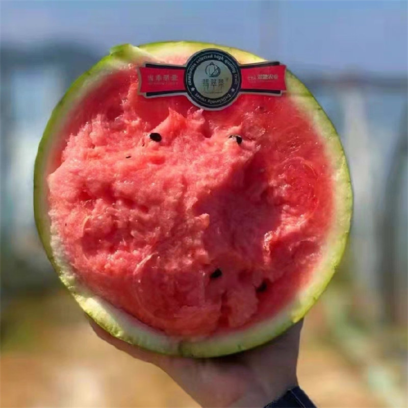 正宗翡翠蒂西瓜大果9斤脆甜当季红壤西瓜海南无籽麒麟新鲜水果,淘宝优惠券,粉丝福利购,淘宝优惠卷
