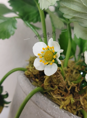 粘土草莓(大果)盆栽纯手工制作黏土摆件现货情侣礼品装饰品送礼物