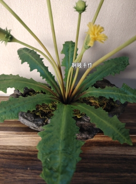 粘土仿真花蒲公英纯手工制作粘土摆件现货礼品情侣礼物家居装饰品