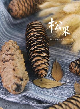 diy白云婚礼派对圣诞装饰松果