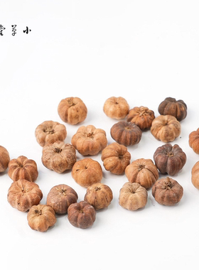【小桔瓜】进口植物果实迷你小南瓜手工diy材料干果植物果实标本
