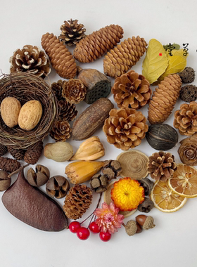 diy包邮果壳原材料森系圣诞干花