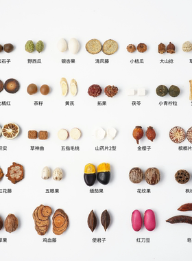 中药植物果实手工diy材料包标本框香氛画非遗中草药中医创意礼物