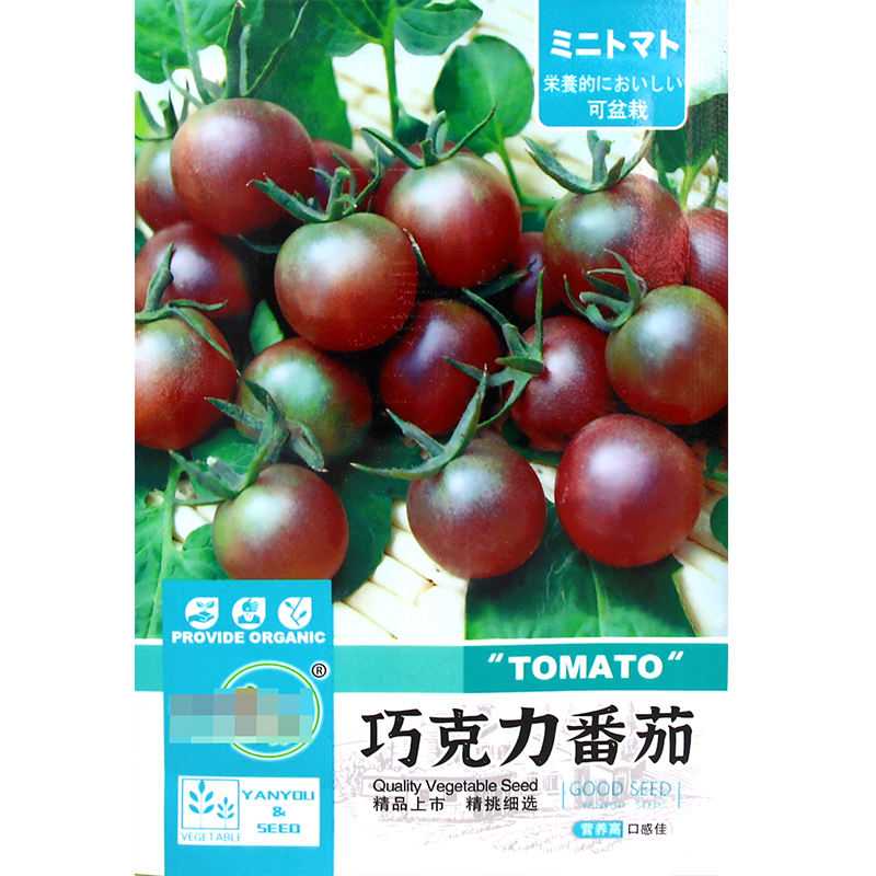 巧克力番茄种子 黑珍珠巧克力樱桃番茄酸甜可口 番茄味浓 高产 - 图3