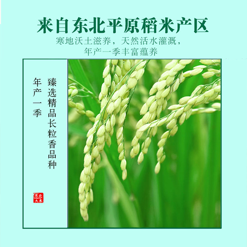 【10点抢】金龙鱼臻选长粒香米5KG东北大米粳米10斤清甜甘香绵软 - 图3