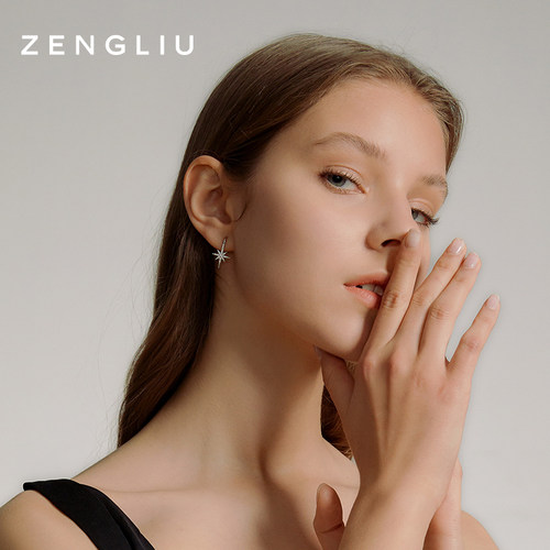 zegl真柳八芒星耳环女精致简约星星耳钉新款独特爆款高级轻奢耳饰 - 图2