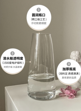 网红花瓶摆件客厅插花玻璃ins风北欧郁金香水培鲜花装饰小众轻奢