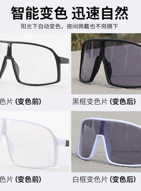 日夜两用变色骑行眼镜女自行车男夜骑防风沙防灰尘防虫透明护目镜