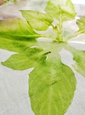 diy植物敲拓染材料包树叶锤印染