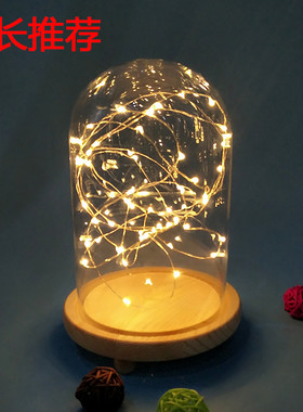 diy火树银花夜灯微景观防尘罩