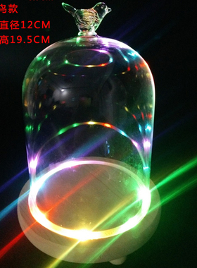 七彩灯座摆件微景观玻璃永生花