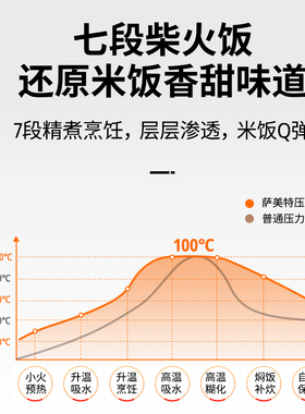 MALATA电压力锅家用饭煲2升小型