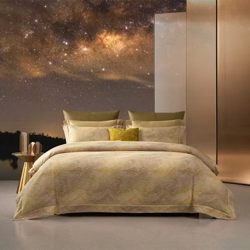 梦洁2026款亲肤天丝棉磨毛数码印花四件套专柜商场同款 星河如梦 - 图2