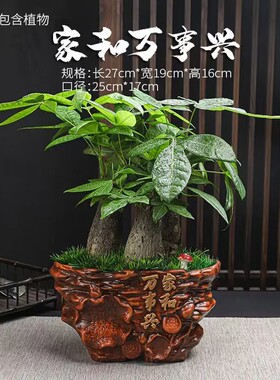 复古创意四季发财植物盆景摆件