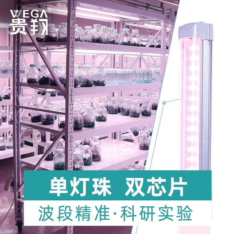 贵翔 远红光植物生长灯LED植物工厂组培实验红蓝T8全光谱补光灯