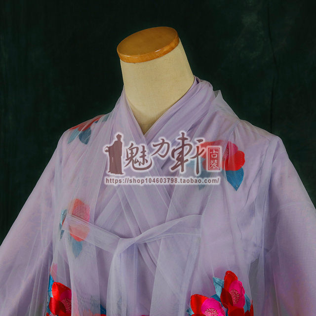 The same fairy elegant dance costume
