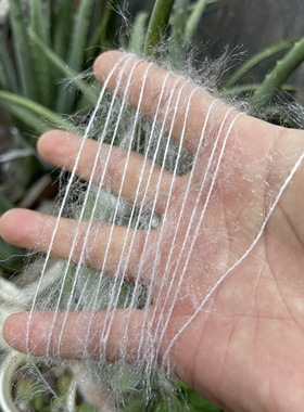 标价半斤 5公分长毛猫毛纱 柔软舒适不扎不掉毛 手编毛衣线 配线